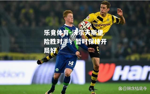 沃尔夫斯堡险胜对手，暂时保持开局好