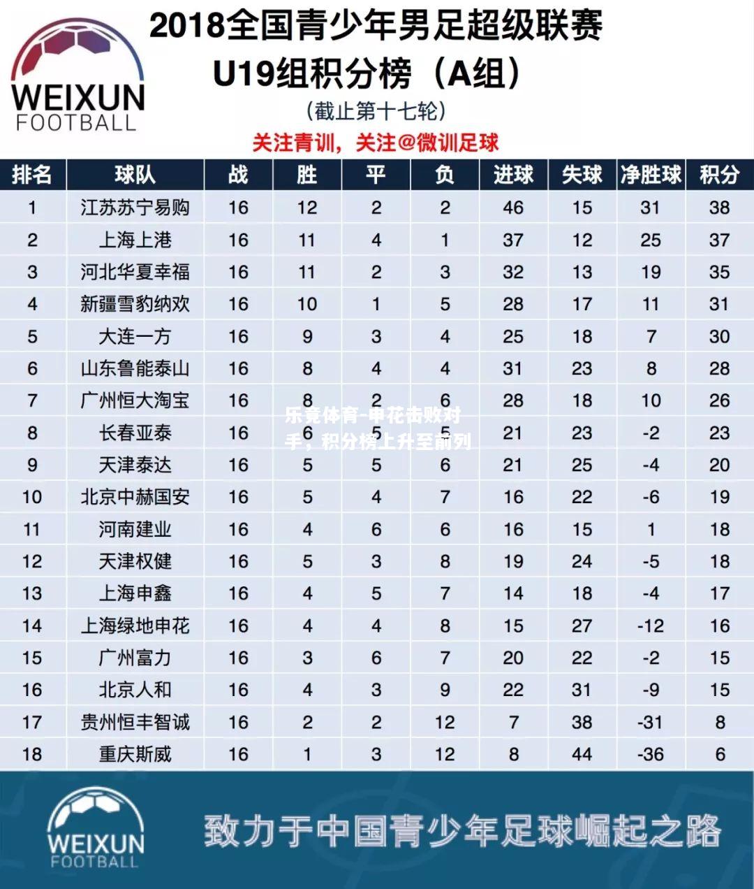 申花击败对手，积分榜上升至前列