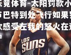 太阳罚款小节巴特到处飞行如果罚款感受左我的怒火在退宁